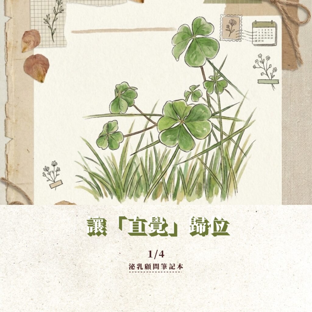 S 13524998 0 2 1024x1024